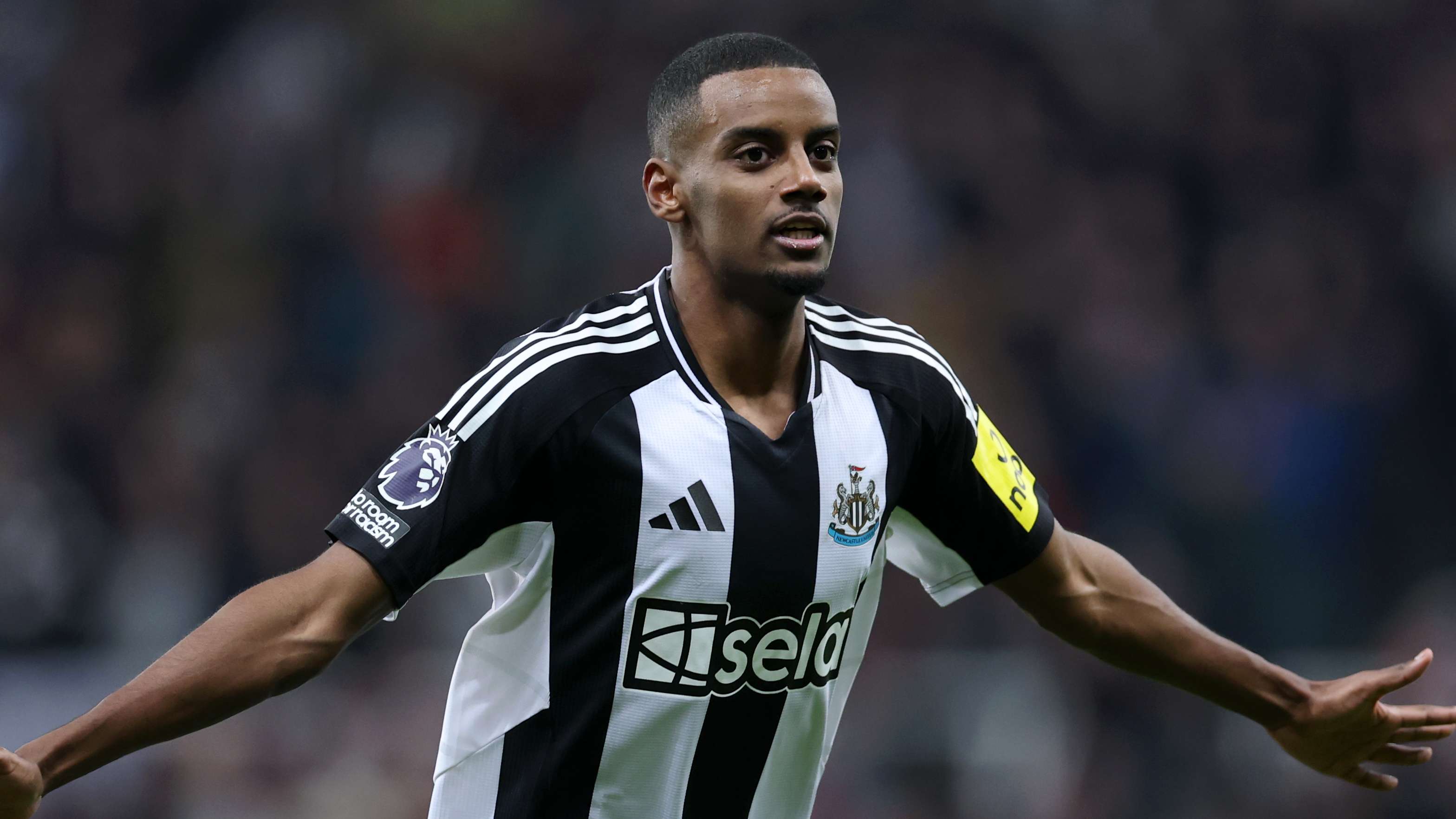 无疑会成为 无疑会成为